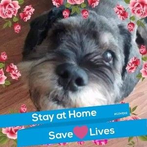 Meet your Posher, Donna